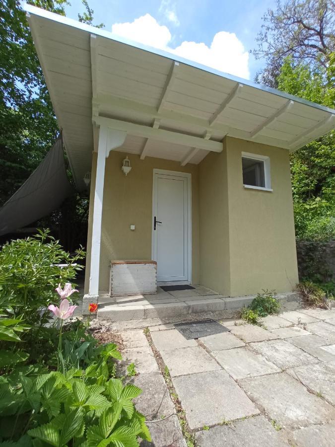 The Bungalow Brašov Exteriér fotografie