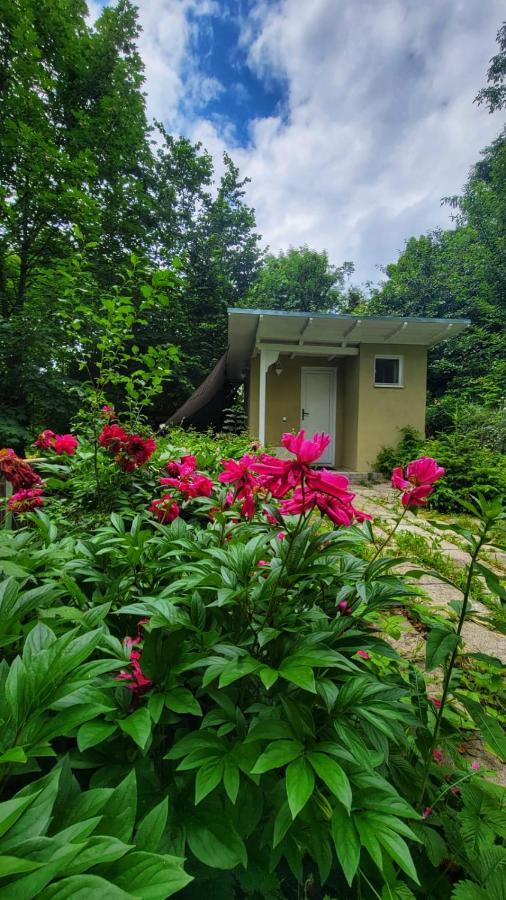 The Bungalow Brašov Exteriér fotografie